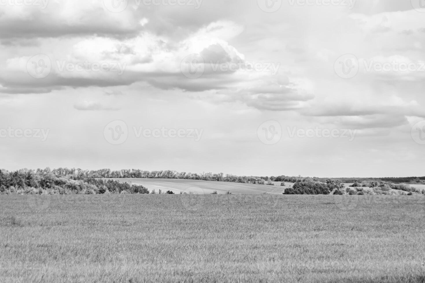 skön horisont landskap i by äng på Färg naturlig bakgrund foto