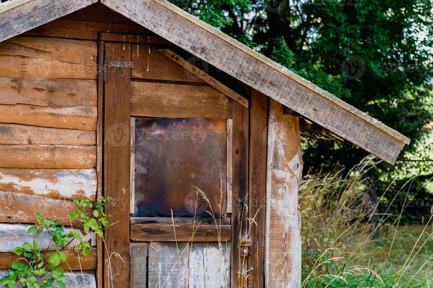 Söt självbyggd trä- stuga i en trädbevuxen trädgård foto