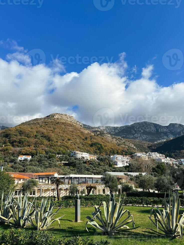 enorm agave buskar växa på en grön äng i främre av de hus på de fot av de bergen foto