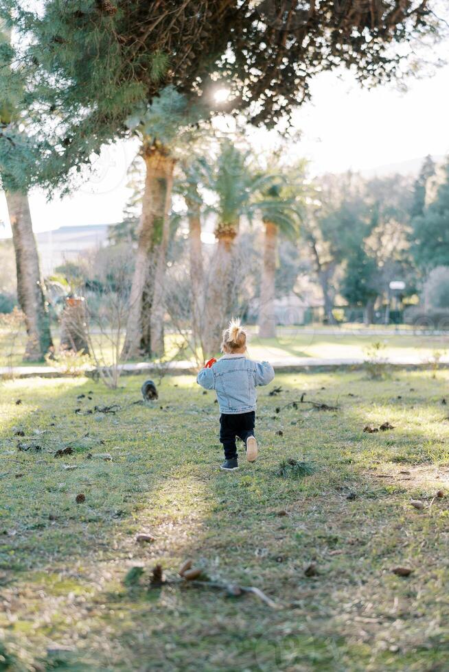 liten flicka promenader längs de grön gräs i de parkera till de buskar. tillbaka se foto