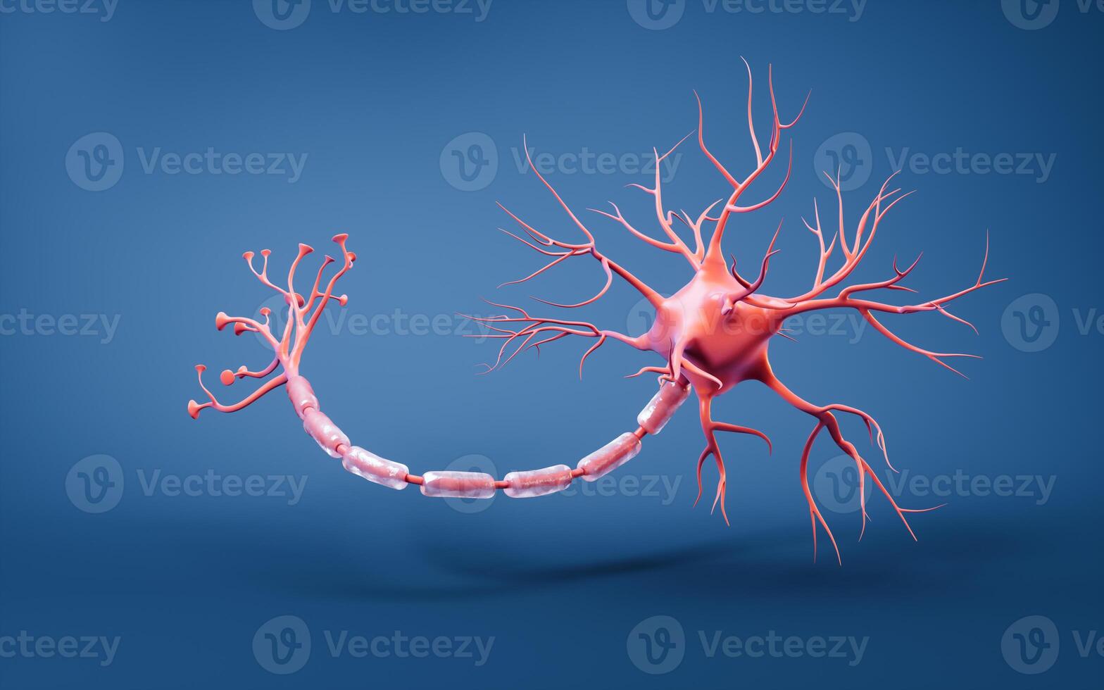 biologi nerv cell med biomedicin begrepp, 3d tolkning. foto