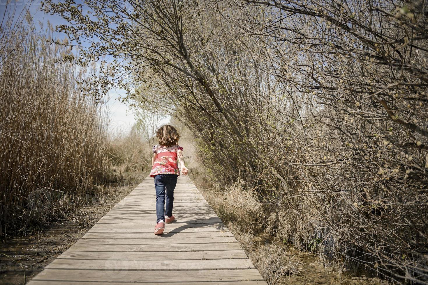 liten flicka går på en bana av träskivor i en våtmark foto