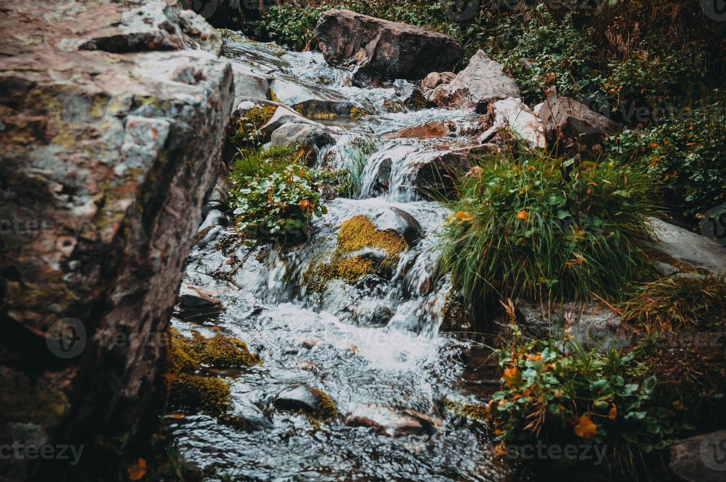 höst i bergen i krasnaya polyana foto