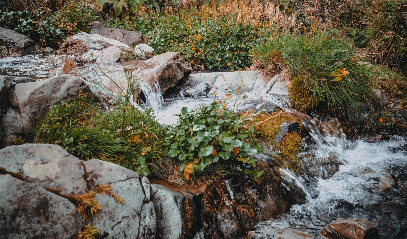 höst i bergen i krasnaya polyana foto