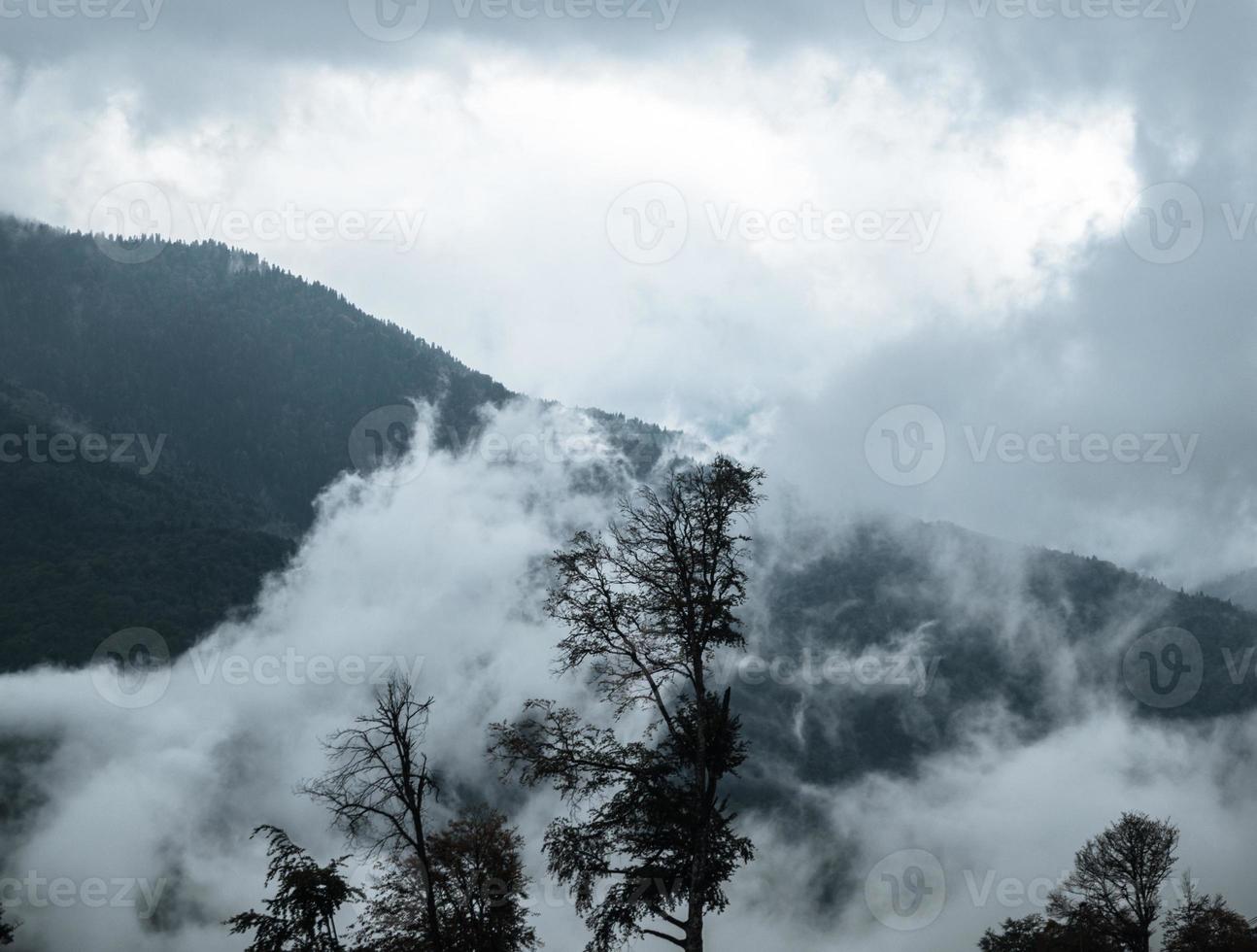 höst i bergen i krasnaya polyana foto