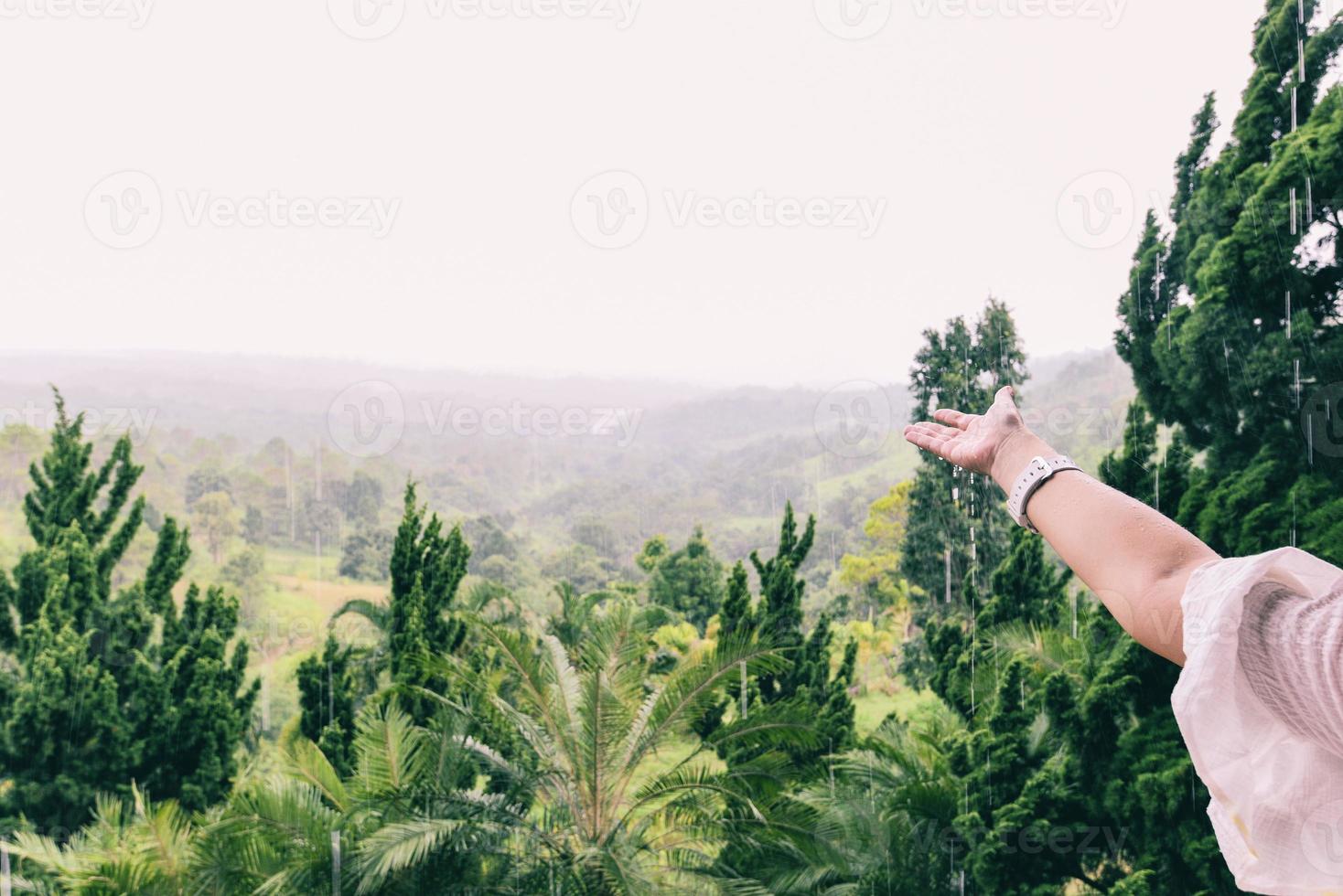 hand som fångar regndroppar på naturens gröna bakgrund - kvinnas händer ber om välsignelse från gud på berget positiv arm energi återfödd förändring regnperiod foto