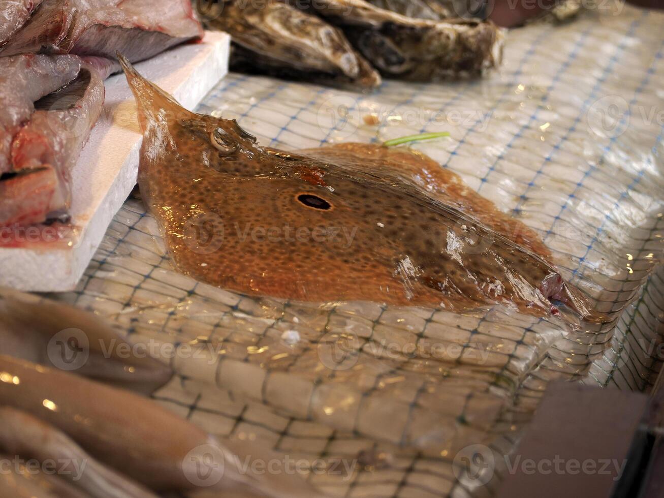 stingrocka färsk fisk skaldjur på ortigia syrakus sicilien fisk marknadsföra Italien foto