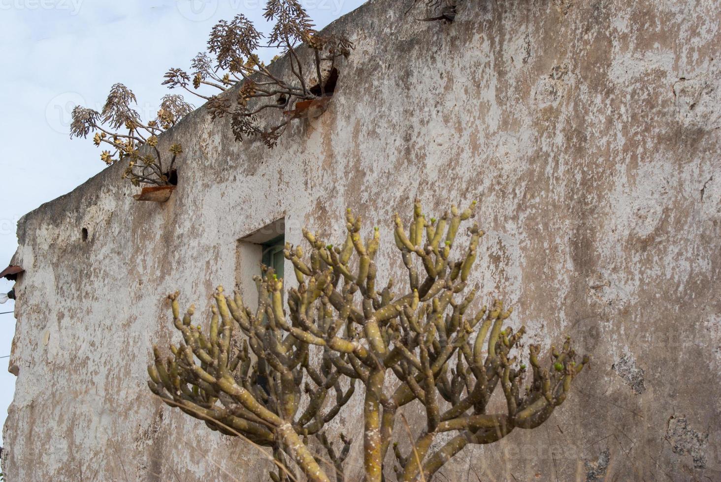 gammalt typiskt kanariskt hus, på ön gran canaria foto