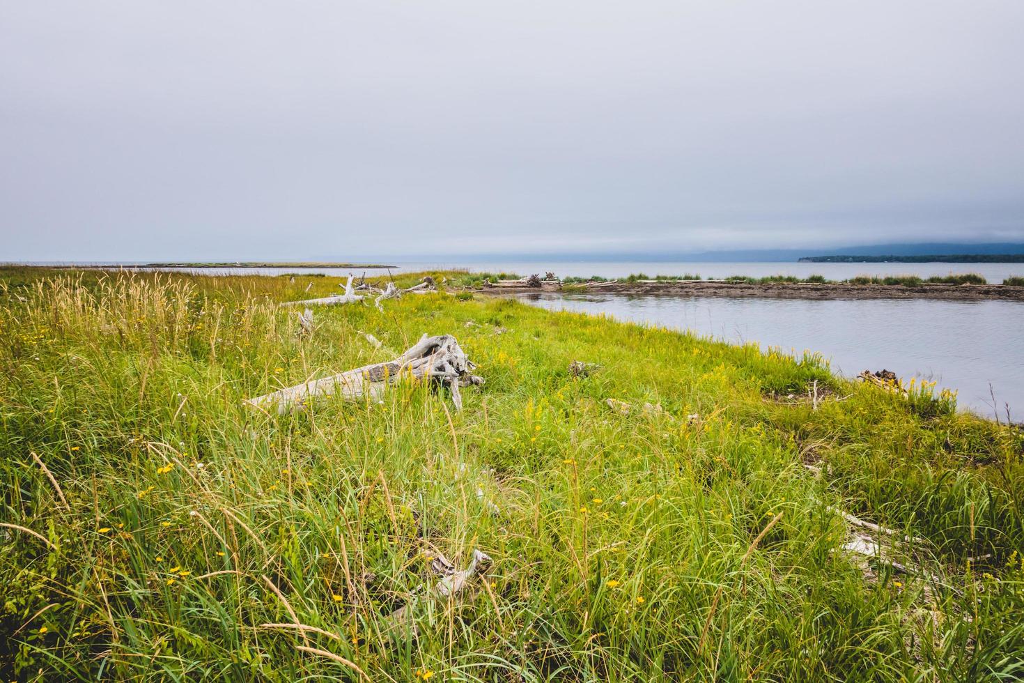 utsikt över grön gräsmatta Pointe-Taylor Bay under lågvatten. foto