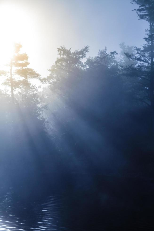 lugn dimmig sjö på morgonen foto