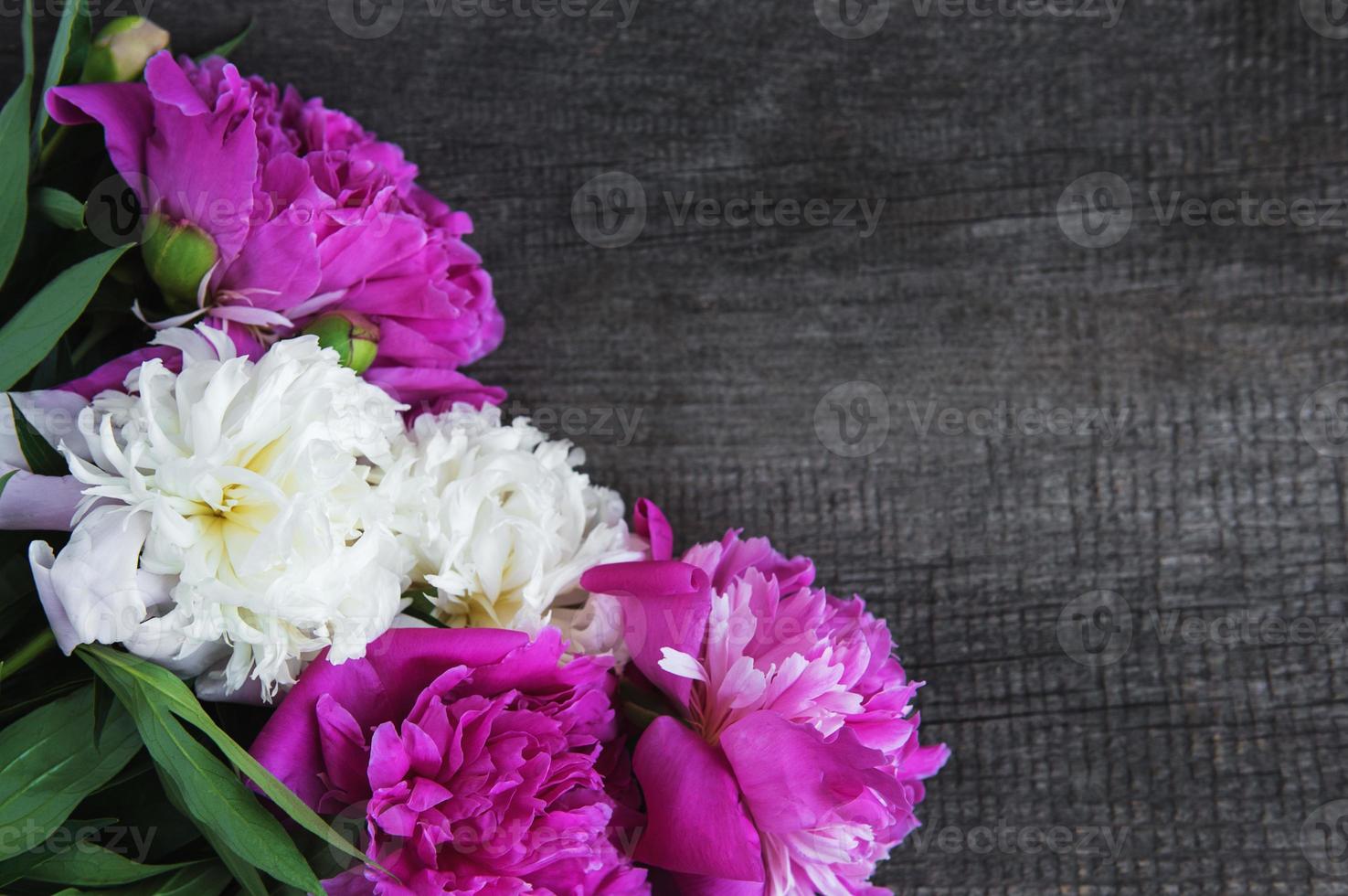 vackra rosa och vita pionblommor foto