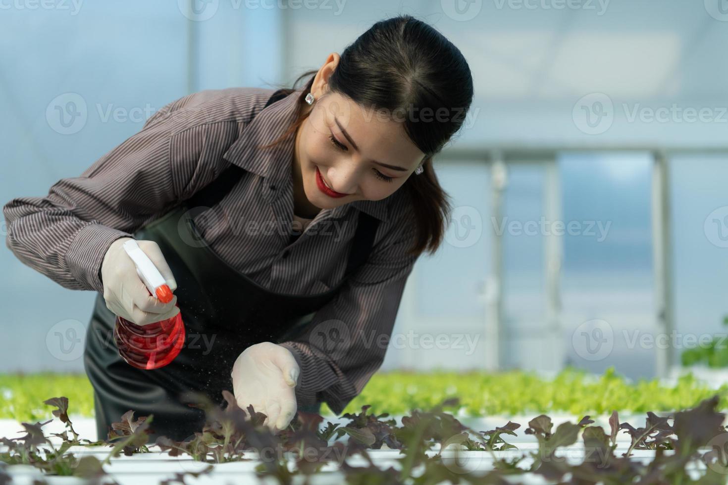 affärskvinna som äger en ekologisk grönsaksträdgård foto