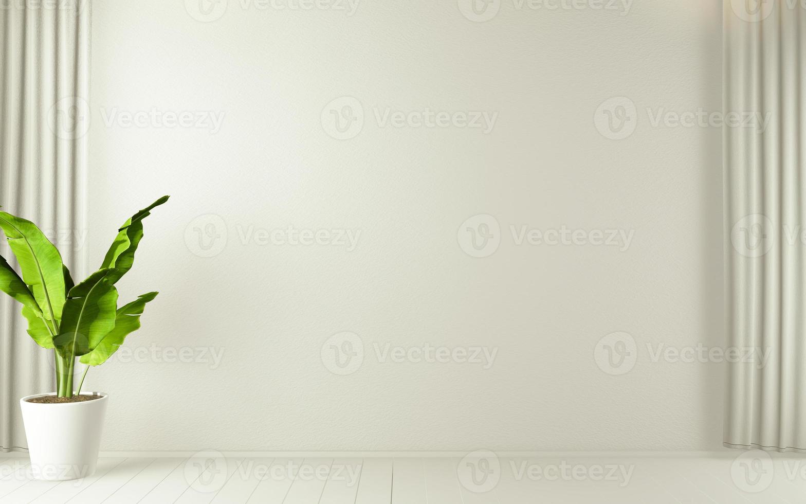 tomt rum vitt på vitt trägolv inredning och dekoration plants.3D-rendering foto