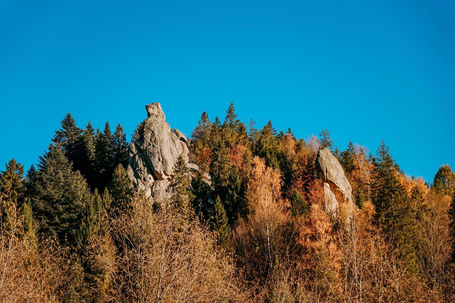 nationalpark med stenar bakgrund. tusen år gamla fästningen Tustan foto