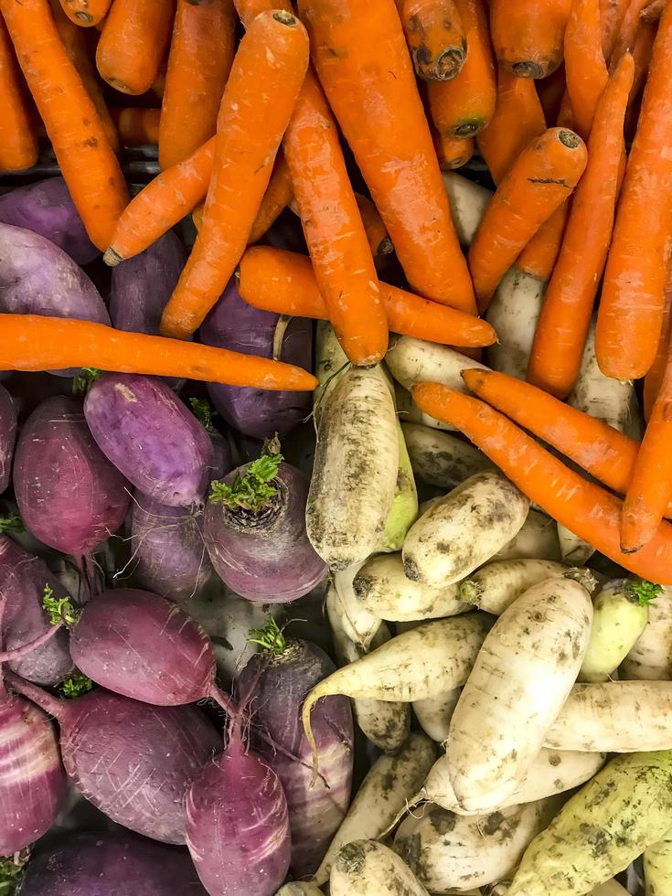 färska gård naturliga grönsaker, daikon, icke-gmo. studiofoto. foto