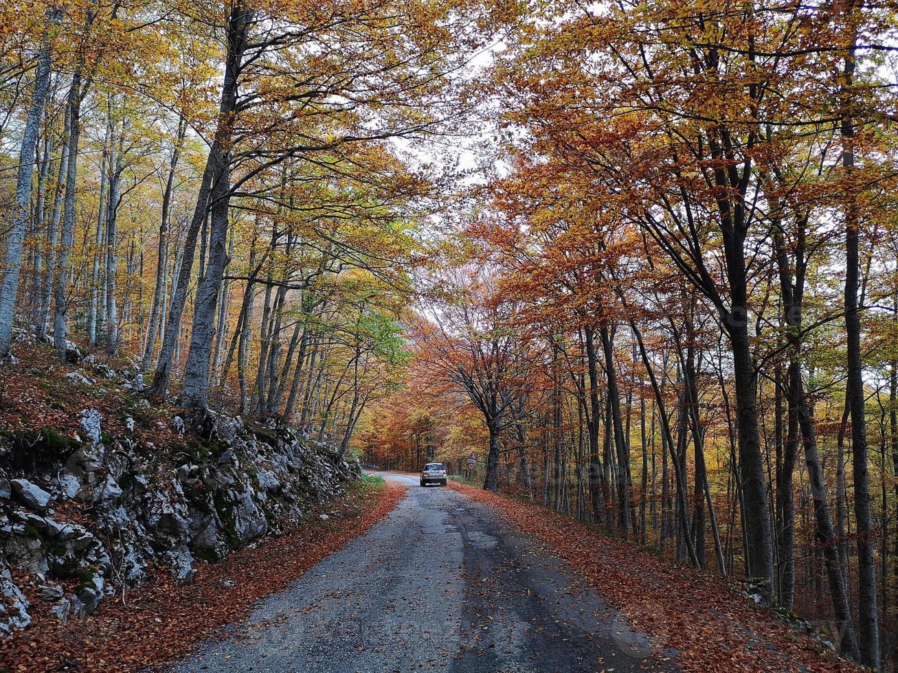 bergsväg på hösten i abruzzo, Italien foto