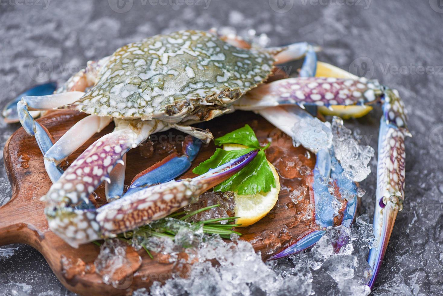 skaldjur krabba på is - färsk råblå simkrabba ocean gourmet med is på mörk bakgrund i restaurangen foto