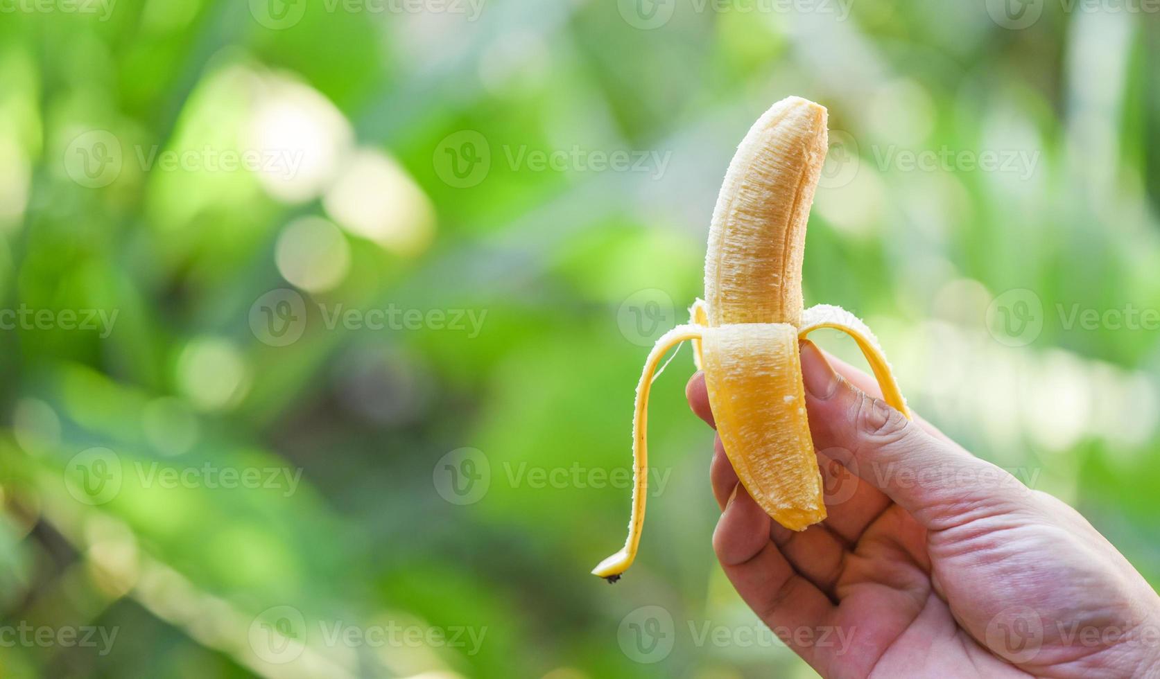 bananskal i handen på naturens gröna trädgårdsbakgrund, skalad banan redo att äta. foto