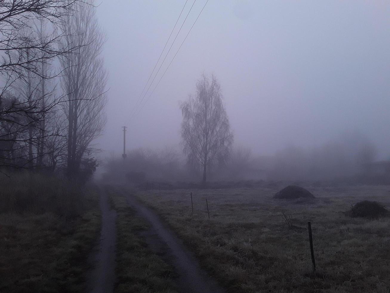 morgondimma på landsbygden foto