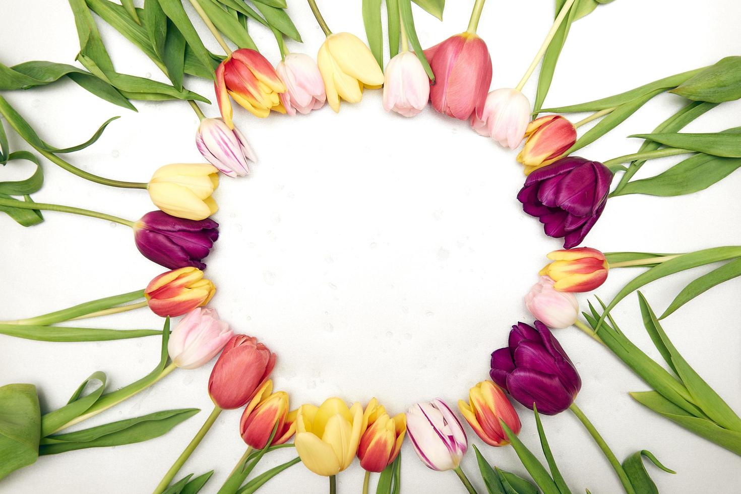 blommig bakgrund med kopia utrymme. platt liggande ram av tulpaner. kvinnodagen, mors dag gratulationskort foto