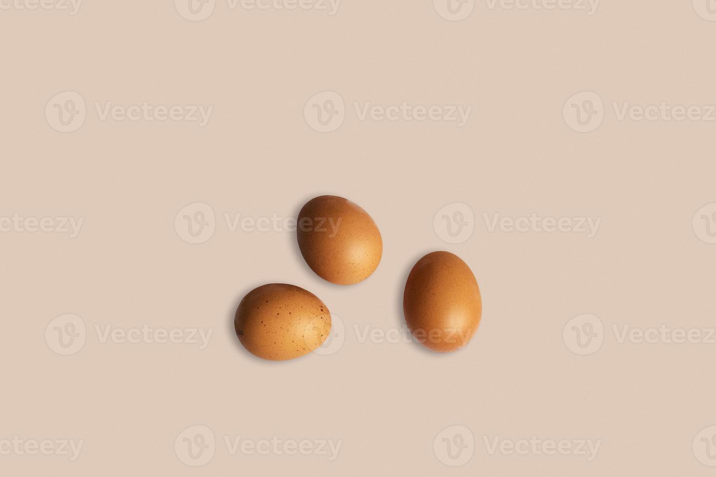 toppvy av många färska råa äggkycklingar uppradade i rad. lagt till kopieringsutrymme för text. foto