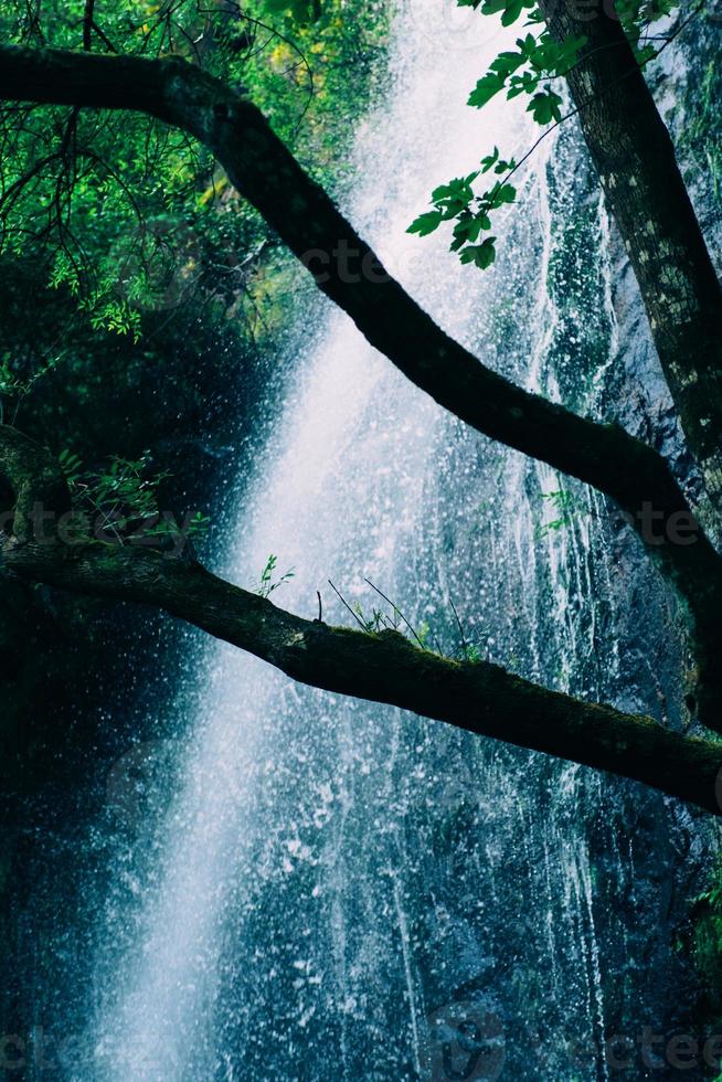 grönt vackert vattenfall i grön skog i djungeln består av vatten foto