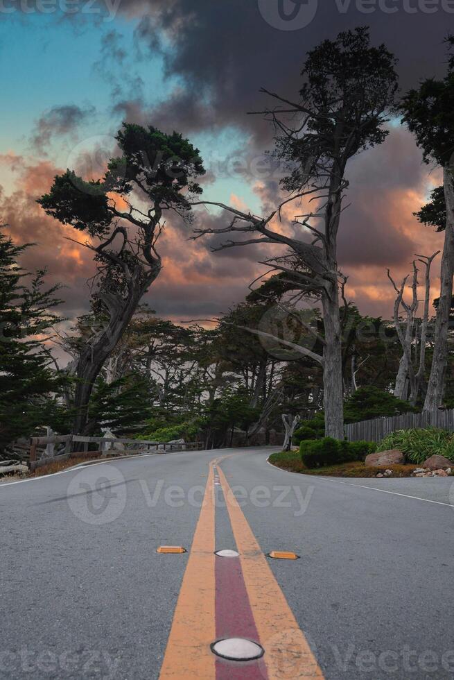 naturskön se av lindning väg, 17 mile kör, kalifornien foto