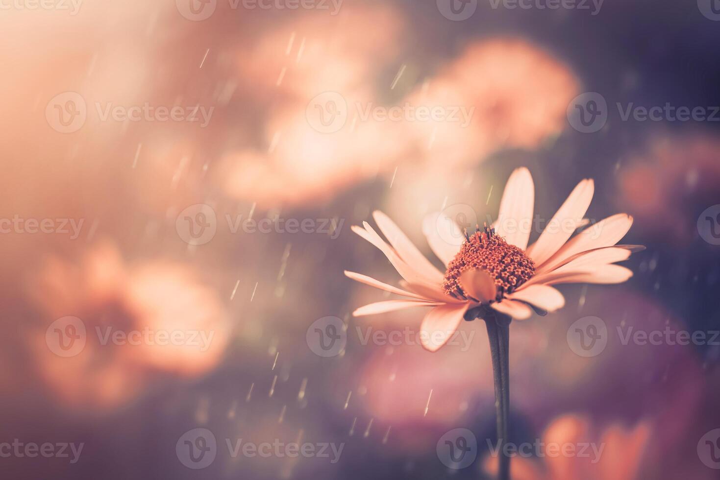 regnig tropisk ljus vit blomma naturlig med exotiska blad på trädmarksnatur. foto