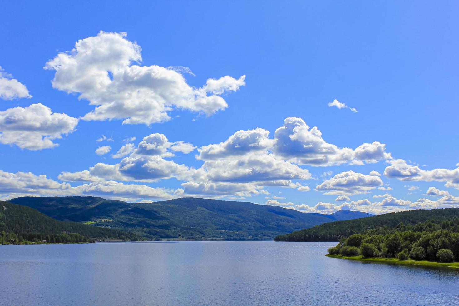 vackert berg och havslandskap i norge. fjordar å skog natur. foto