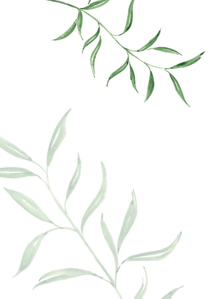 bröllopsmall med abstrakt bakgrund. vektor bakgrund med gröna blad och vit bakgrund. löv kreativ bakgrund med naturliga blad sammansättning foto