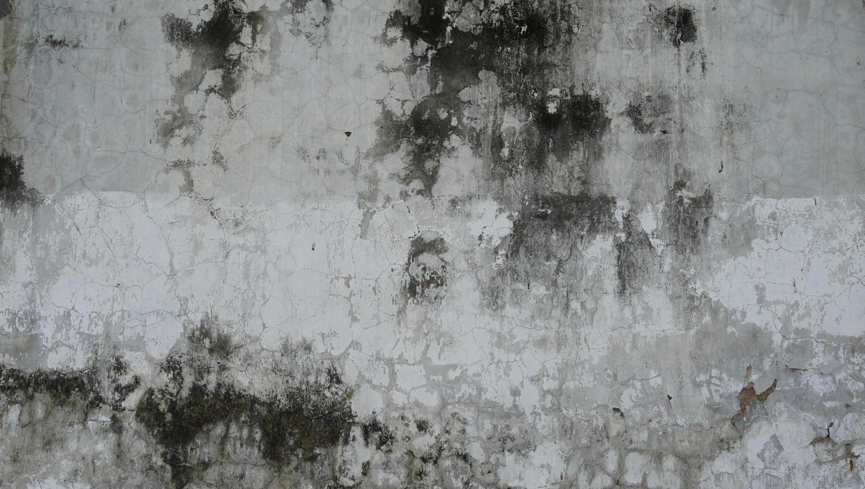 grov vägg textur bakgrund samling. skadad smutsig mossig betongväggyta. 3d texturerad bakgrund för inredning, dekoration, tapeter, etc. foto