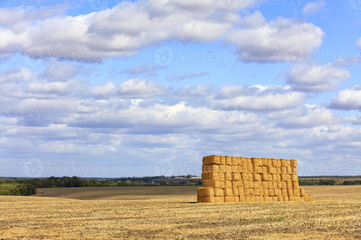 en stor bunt halm mot bakgrund av ett brett fält och blå molnig himmel efter skörd. foto