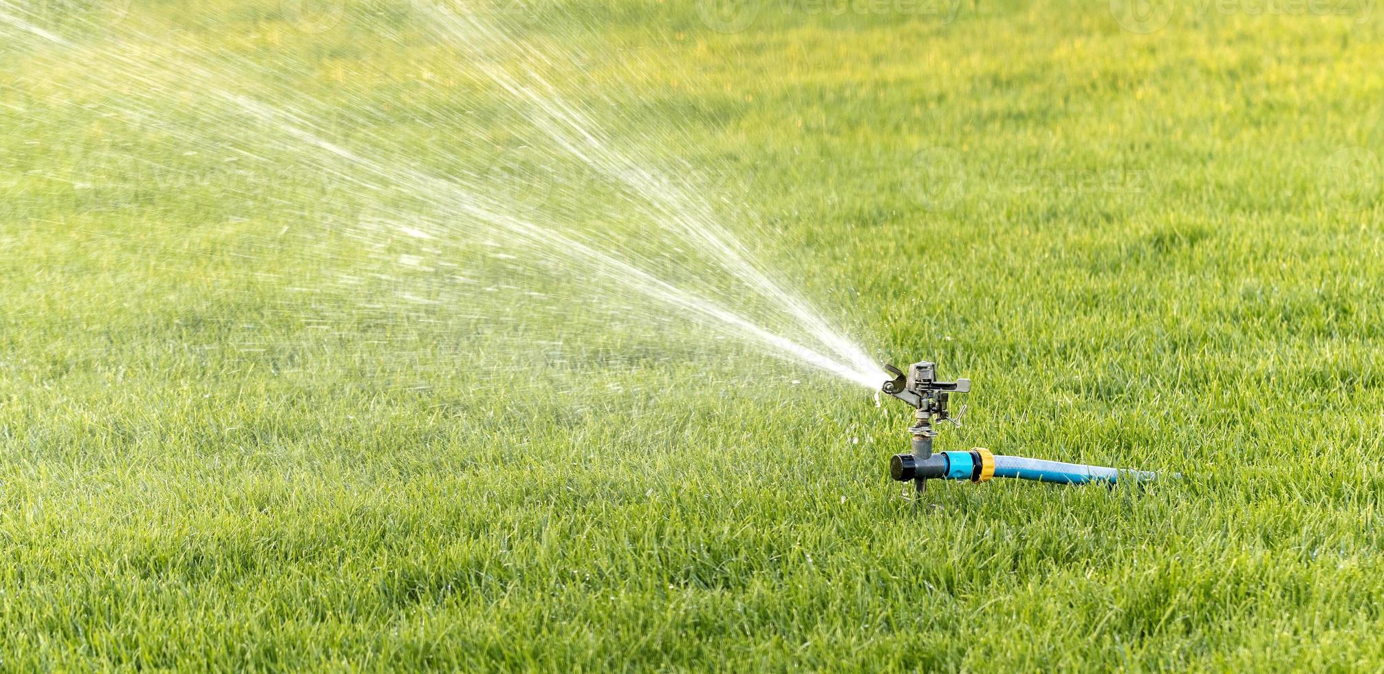 oscillerande bevattning sprinkler av gräsmattan vid middagstid närbild foto