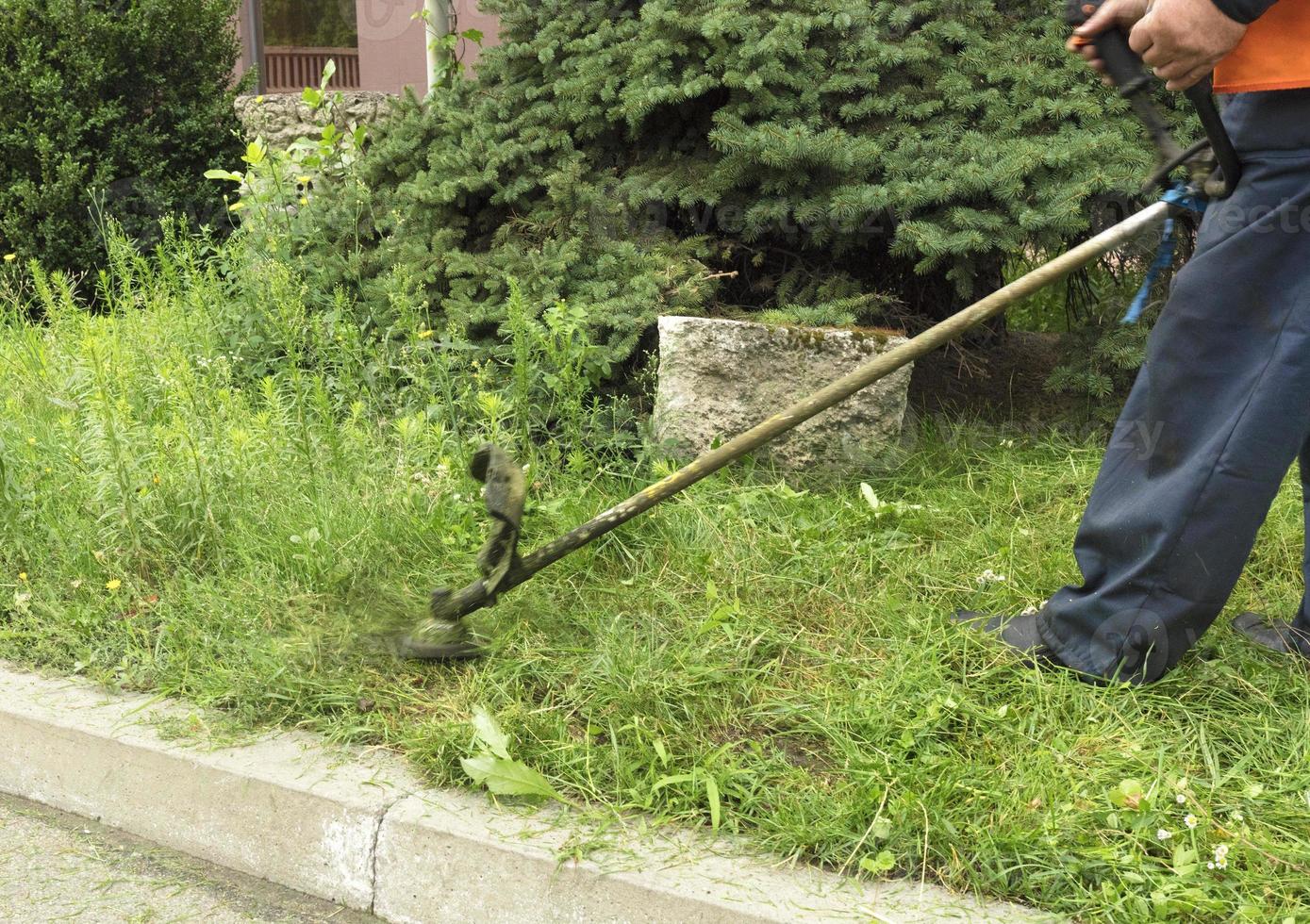 arbetaren klipper det höga gräset med ett industriellt bensinklippande gräs foto