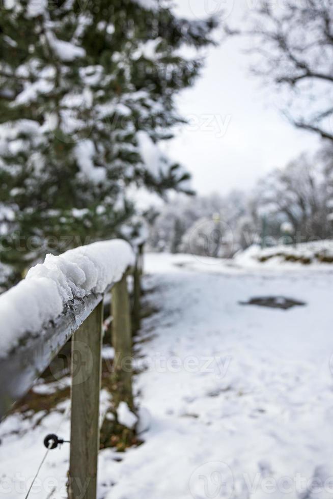 en närbild av ett trästaket täckt med snö med en snöig skog i bakgrunden. selektiv fokusering. foto