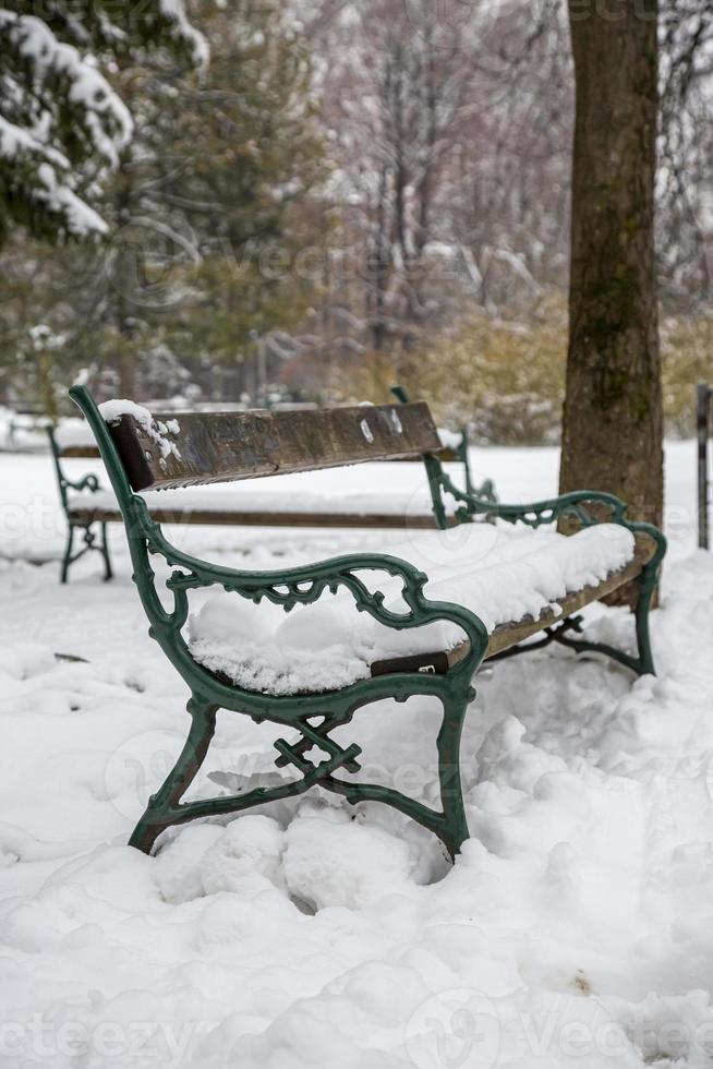 parkbänk och träd täckta av tung snö. foto