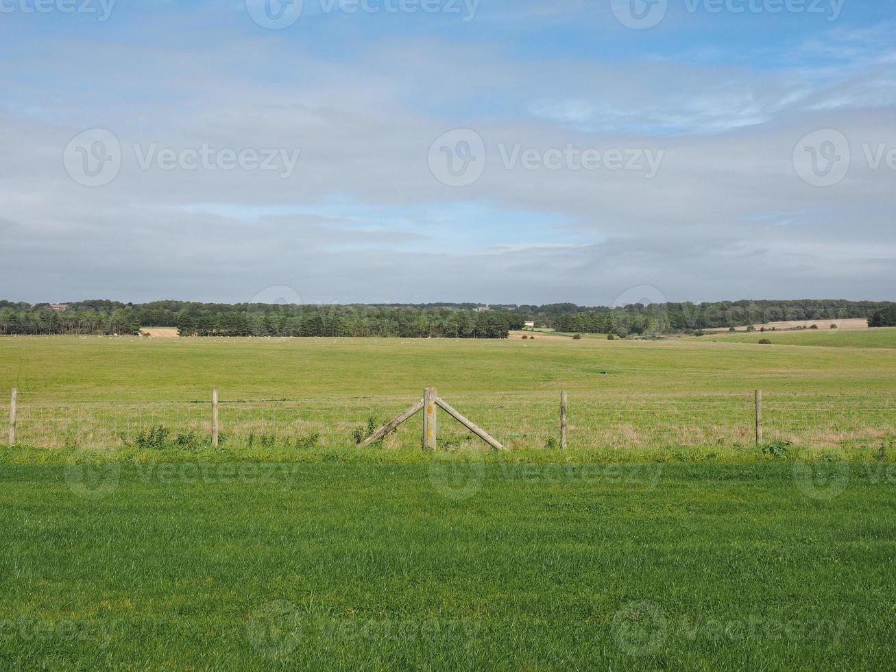 engelskt landspanorama i Salisbury foto