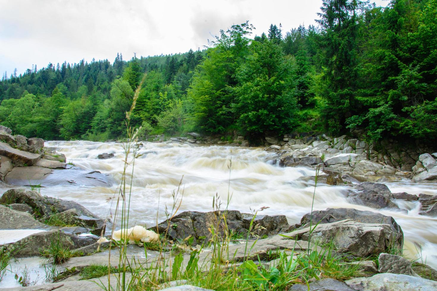ett underbart landskap i Karpaterna med en flod i bakgrunden foto