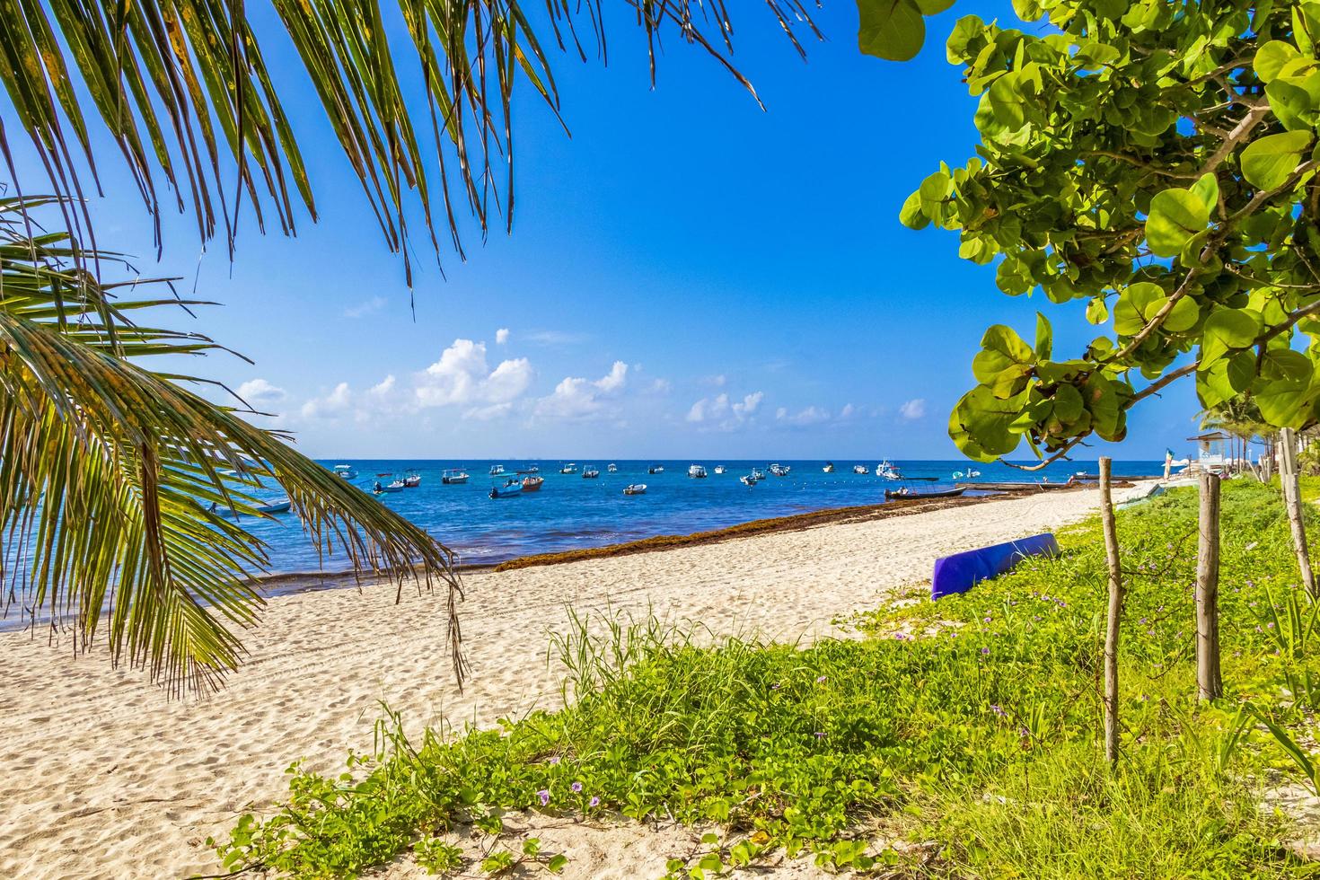 tropisk mexikansk strand med palmer playa del carmen mexico. foto