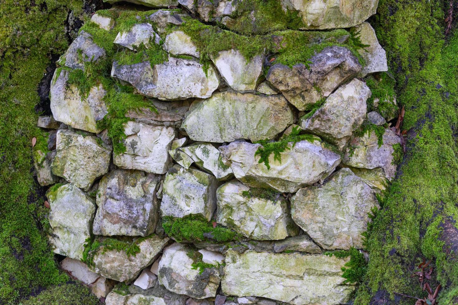 naturlig bakgrund med stenarbeten och grön mossa foto