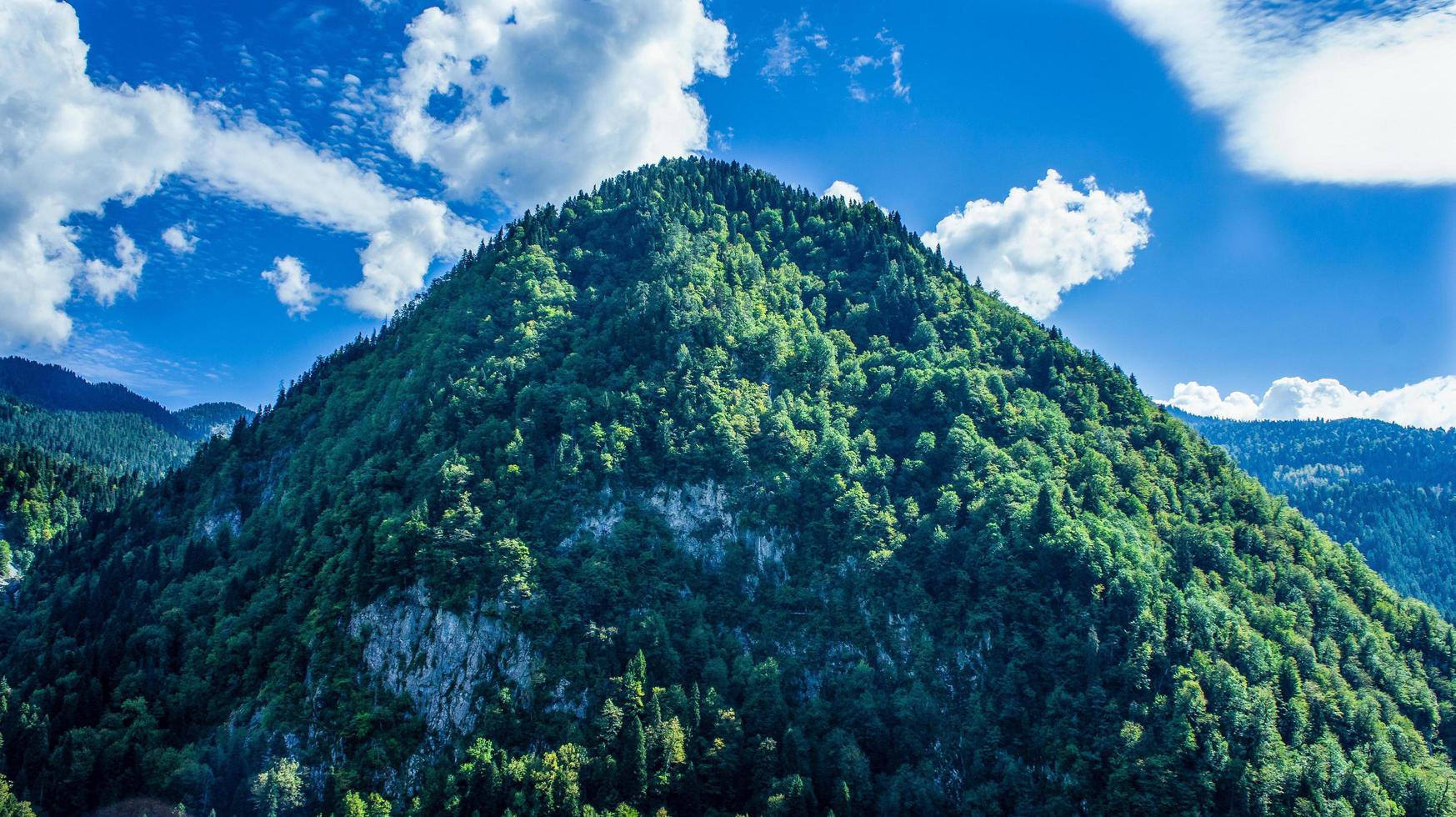 naturlandskap med berg och skogar mot himlen. foto