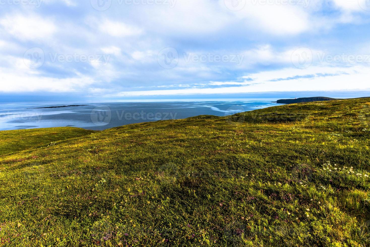 2021 08 13 myvatn ängar havshorisonter foto