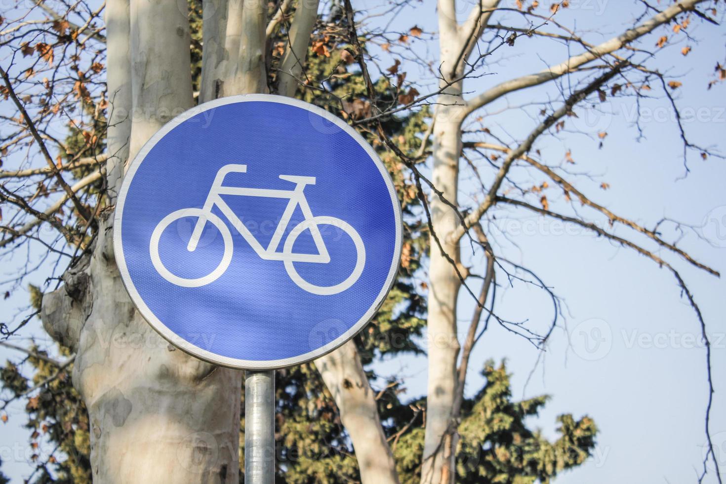 cykel vägskylt med med trädgrenar på bakgrunden foto