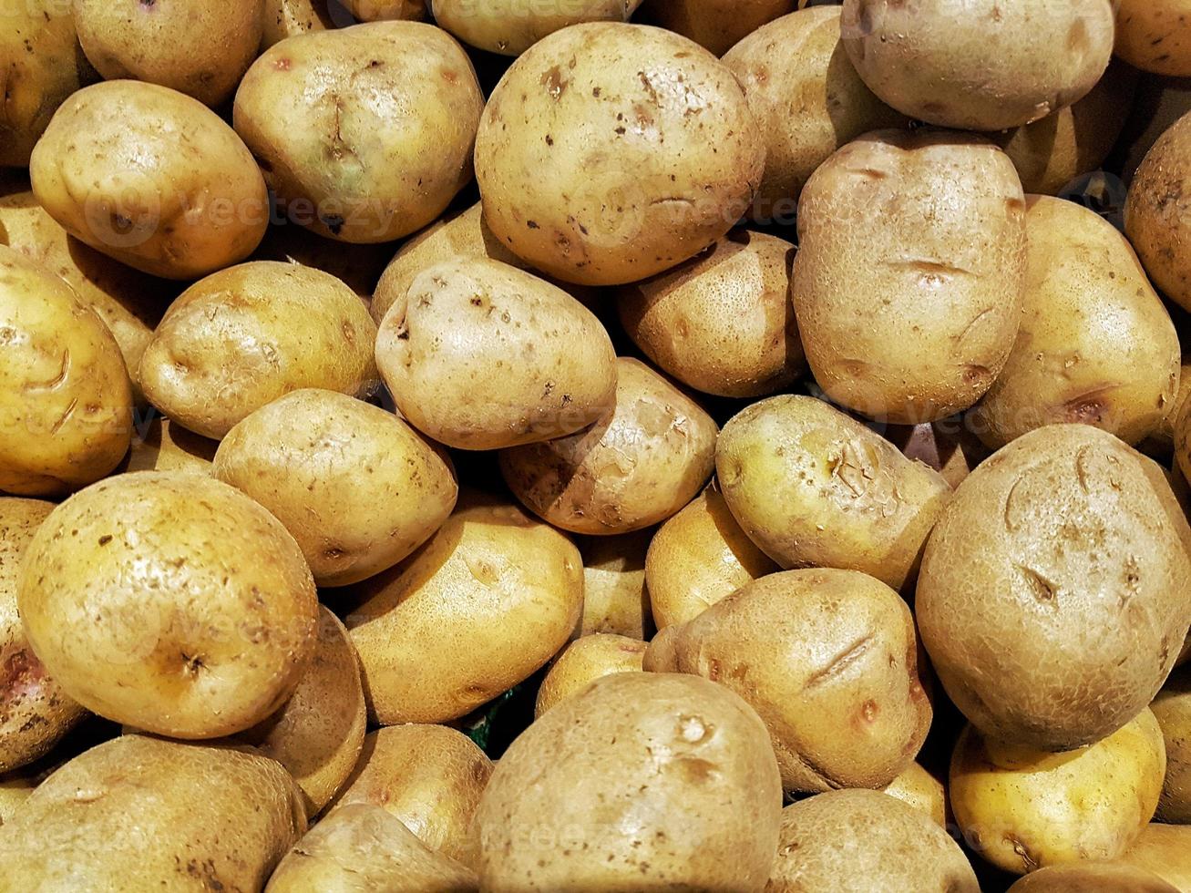 potatis färsk frukt och rik på antioxidanter, vitamin och fibrer på trendig mynta. foto