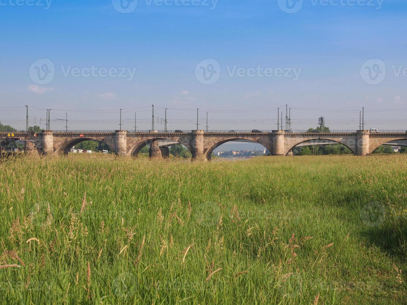 elbe river i dresden foto