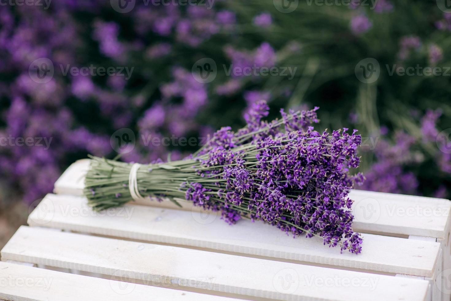 hög med lavendelblomsterbuketter på en gammal träbänk i en sommarträdgård. bukett lavendel foto