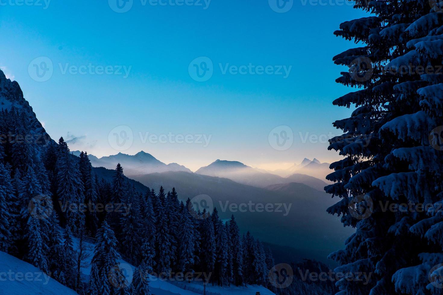 alpin tallskog med disiga berg foto