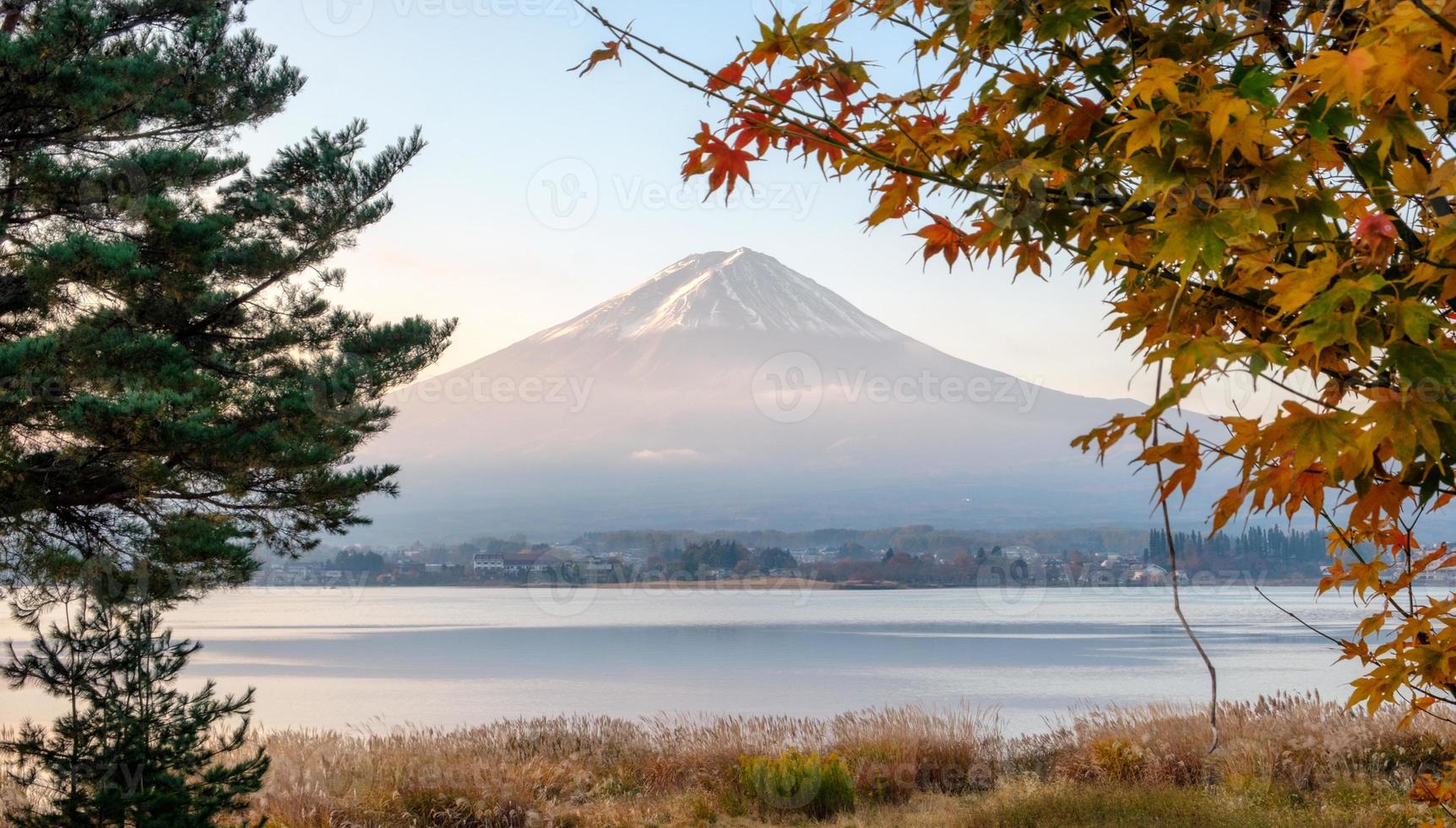 berget fuji med träd och äng i kawaguchiko sjön foto