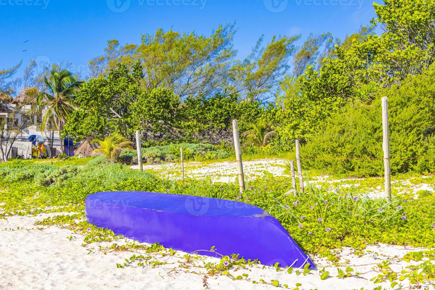 båtar yachter på den tropiska mexikanska stranden playa del carmen mexico. foto