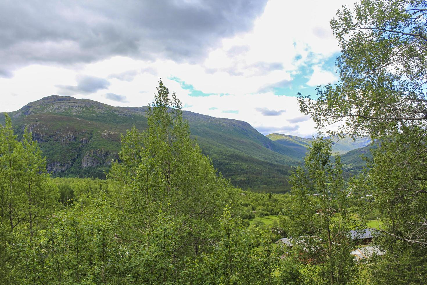 norskt landskap med träd granar berg och klippor. norges natur. foto
